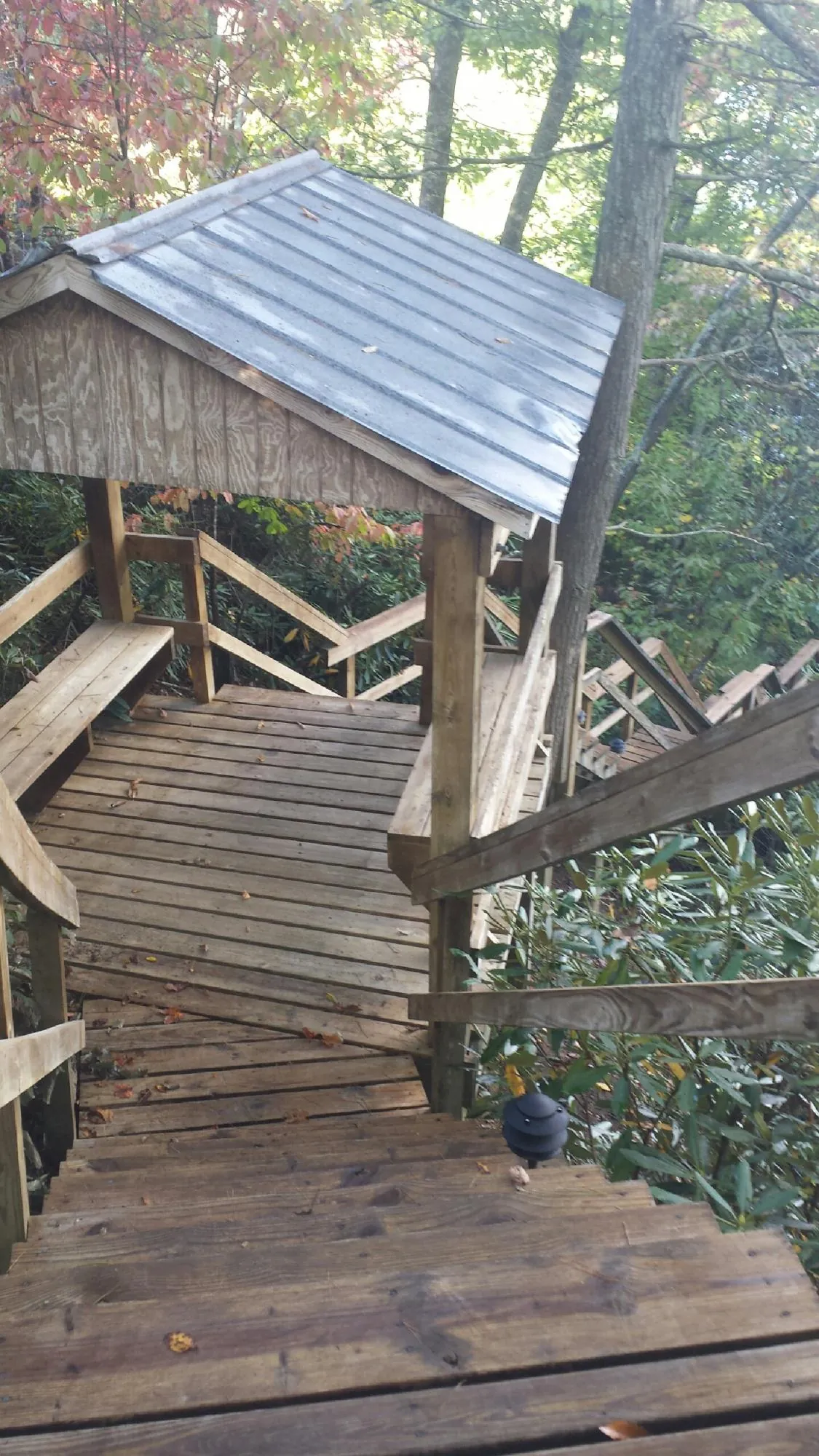 Metal roofed shelter over wooden steps on a wooded walkway — Skylight Repair & Installation work by our crew in Hills